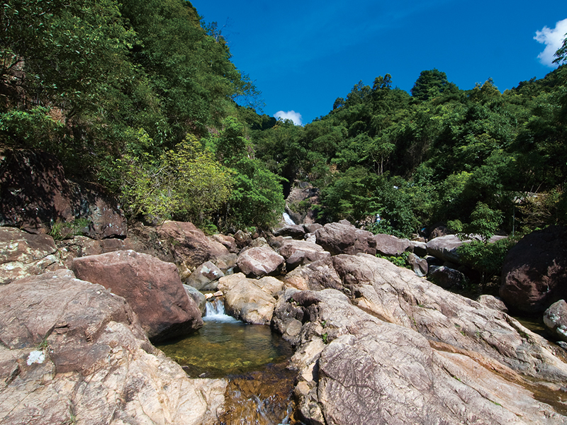 滇西北至广东特高压直流输电工程对广东九洞森林公园生态影响评价